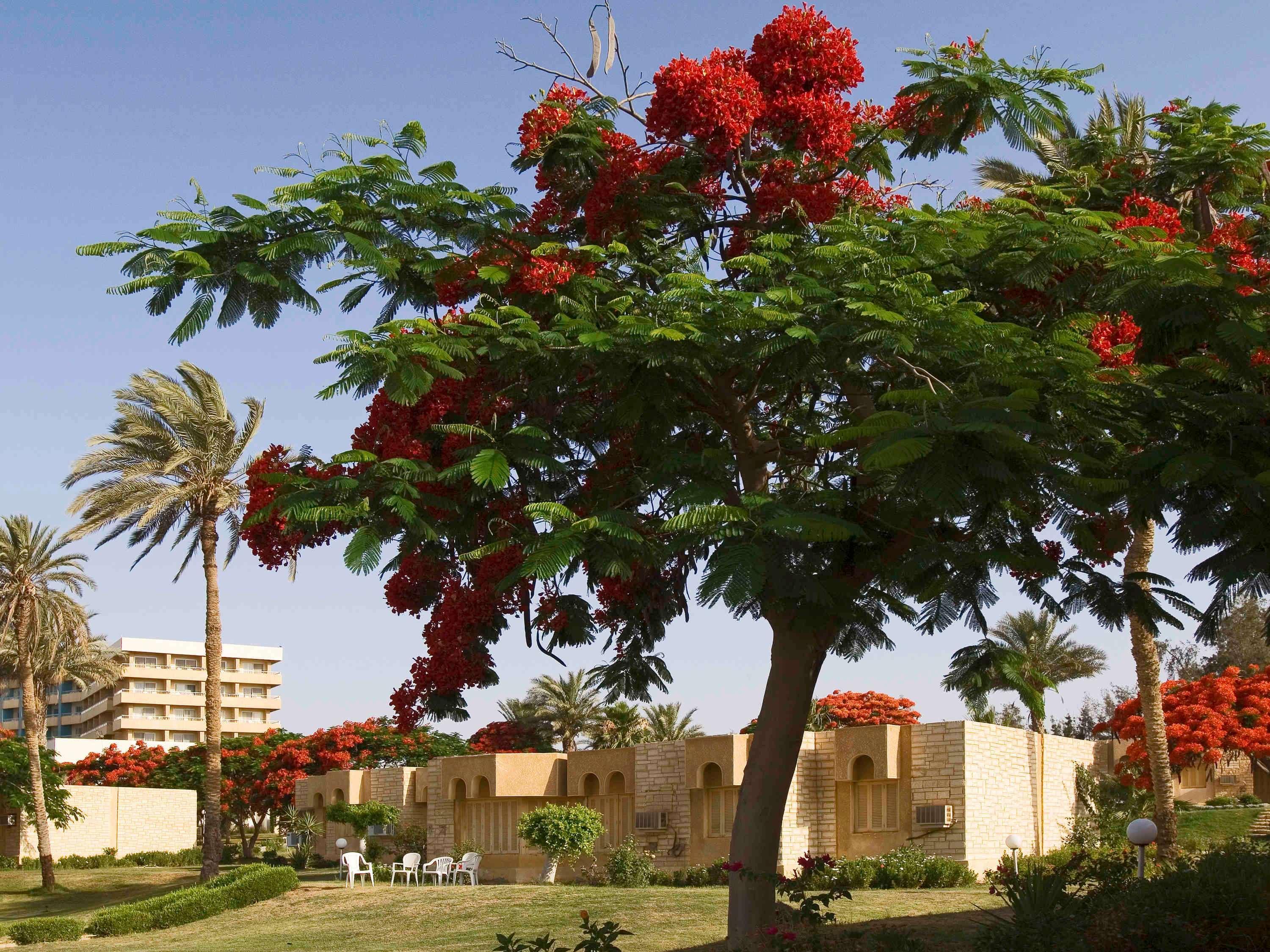 Mercure Ismailia Forsan Island Ngoại thất bức ảnh