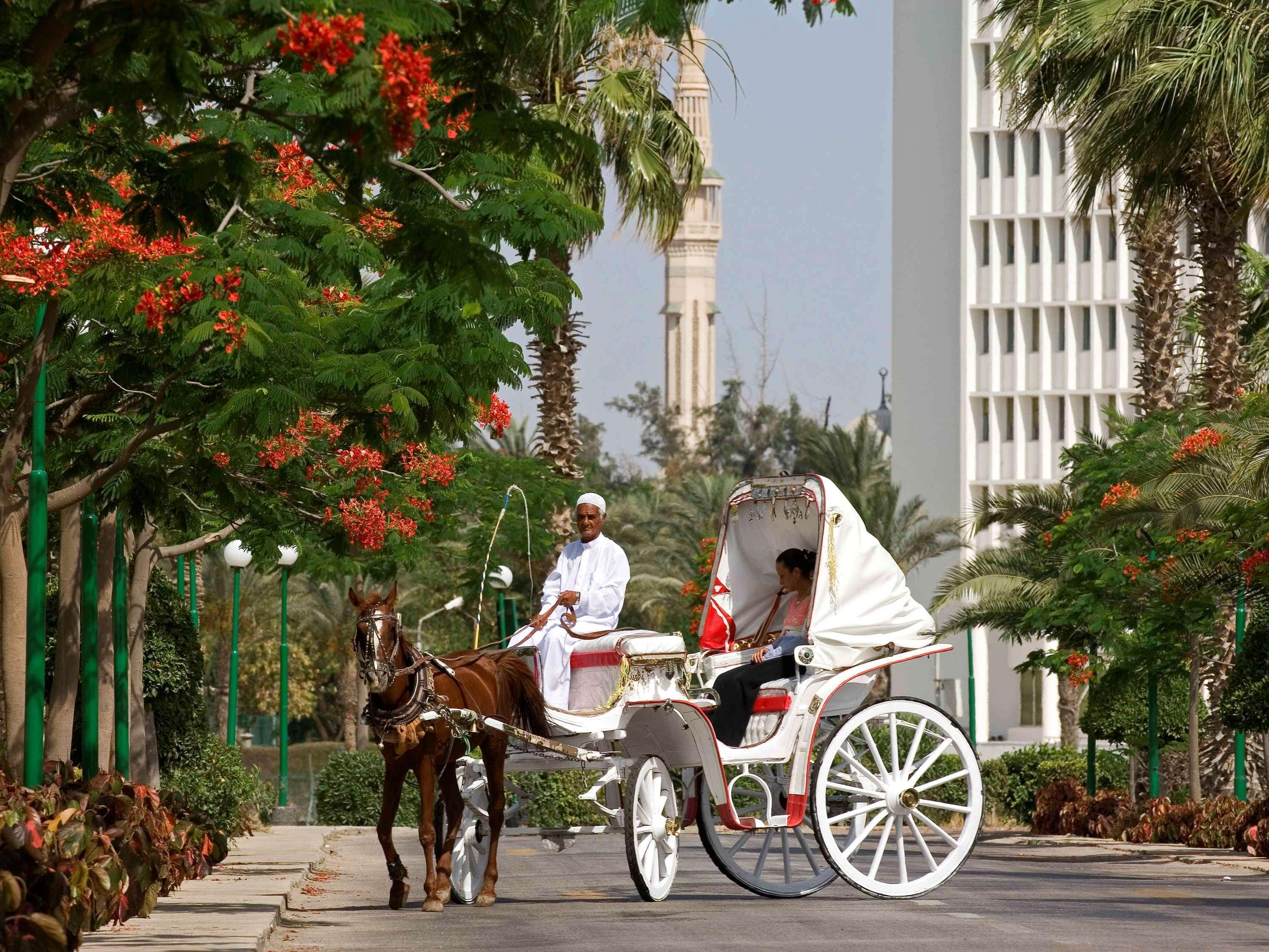 Mercure Ismailia Forsan Island Ngoại thất bức ảnh